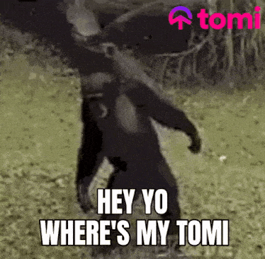 Tomi Tominet GIF - Tomi Tominet Tomi Token GIFs
