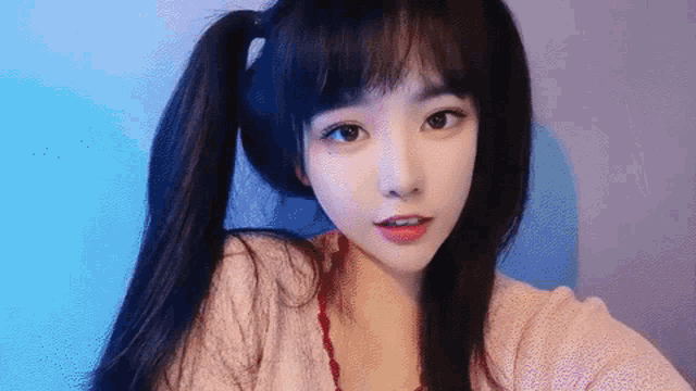 a girl with pigtails looks at the camera with a blue background