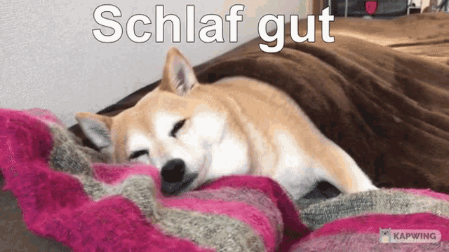 a dog laying on a blanket with the words schlaf gut written above it
