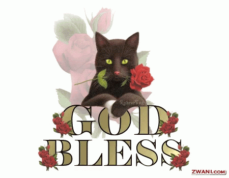 God Bless Cat GIF - God Bless Cat Roses GIFs