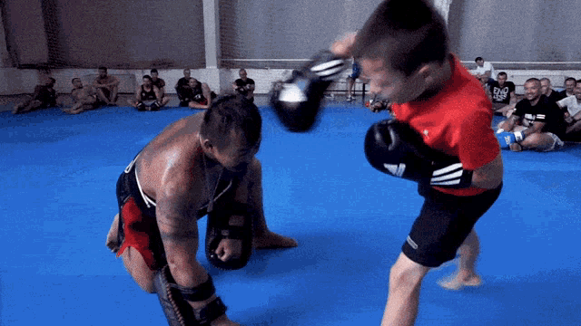 a man wearing boxing gloves with the adidas logo on them