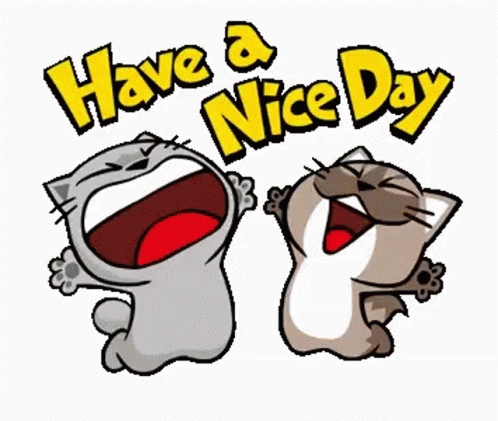 Cats Have A Nice Day GIF