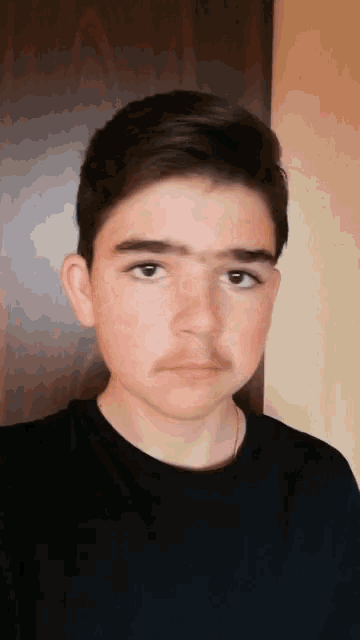 a young boy with a black shirt on is looking at the camera