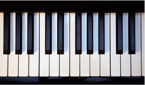 Piano GIF - Piano GIFs