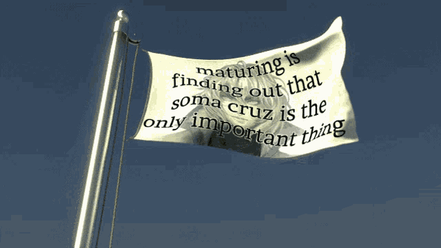 a flag with a quote on it that says maturing is finding out that soma cruz is the only important thing