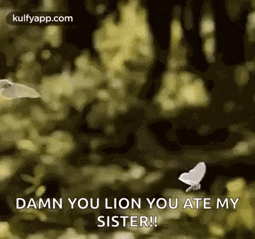 a butterfly is flying in the air with the words `` damn you lion you ate my sister '' written on it .