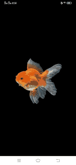 a goldfish is swimming on a black background on a cell phone screen .