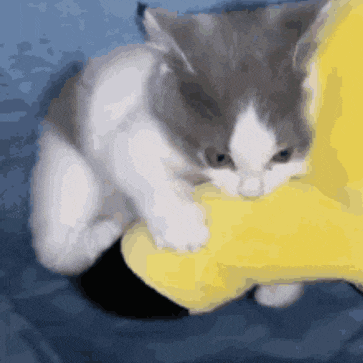 a kitten is playing with a yellow pillow on a bed