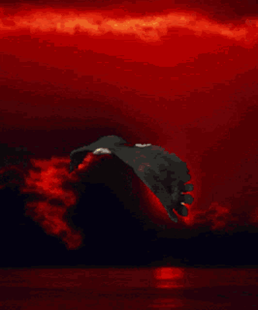 a bald eagle is flying over the water at sunset