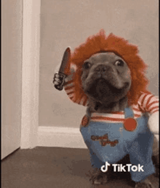 a dog dressed as chucky is holding a knife in its mouth .