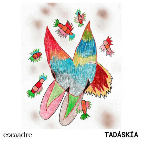 a child 's drawing of a colorful bird with carrots around it and the name tadaskia underneath it