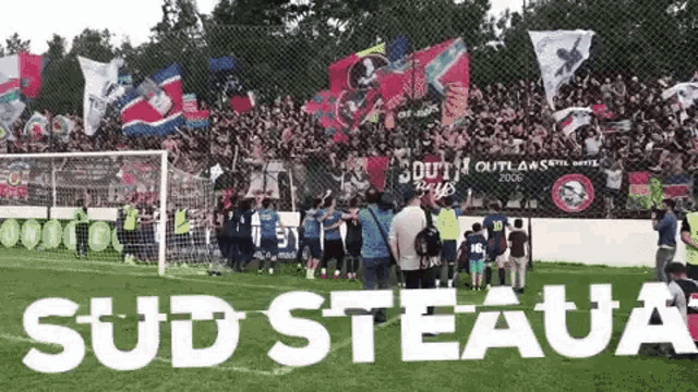 Sud Steaua Cheer GIF - Sud Steaua Cheer Crowd GIFs