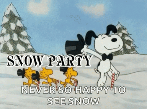 Snow Party GIF