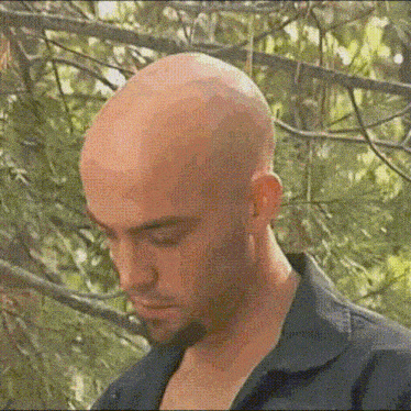 a bald man with a beard is standing in a forest