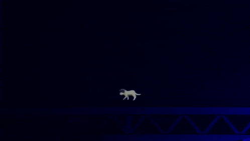 a cartoon character is dancing on a stage in the dark .