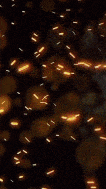 a person playing a guitar in a dark room with sparks flying around