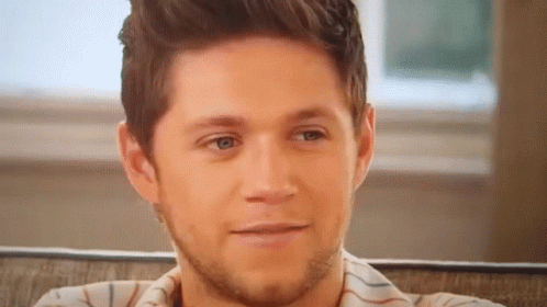 Niall Horan One Direction GIF - Niall Horan One Direction 1d GIFs