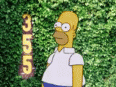 Homer Simpson Cubs GIF - Homer Simpson Cubs Bush GIFs