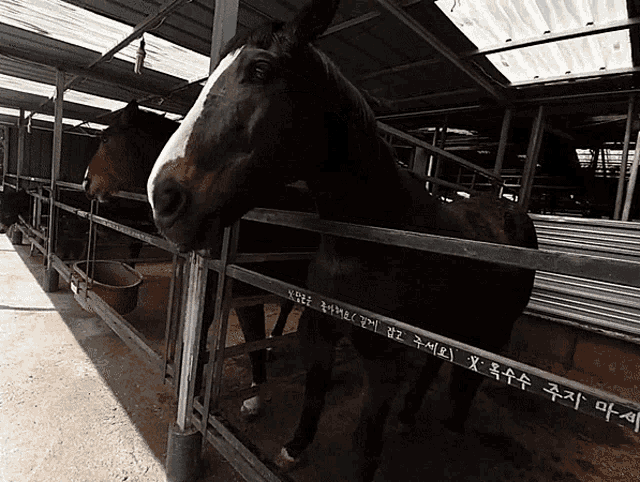 two horses are standing in a stable with a fence that has chinese writing on it