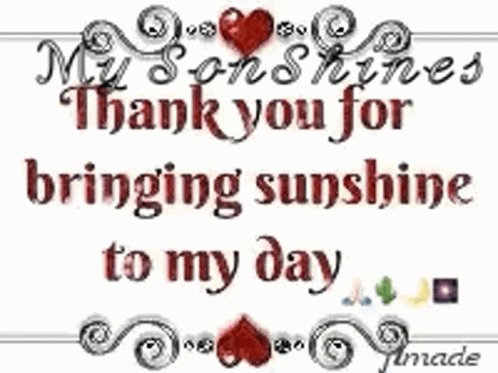 Thank You Thank You For Bringing Sunshine To My Day GIF - Thank You Thank You For Bringing Sunshine To My Day GIFs