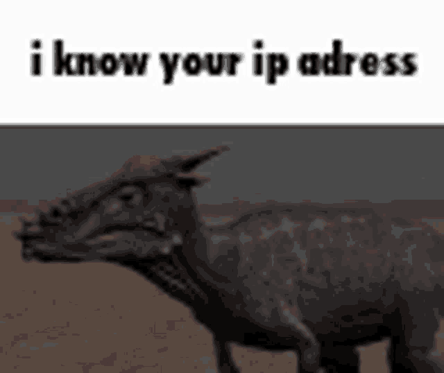 a picture of a dinosaur with the words `` i know your ip address ''