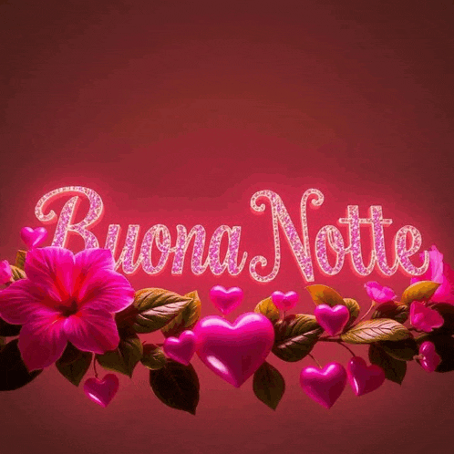 the word buona notte is surrounded by pink hearts
