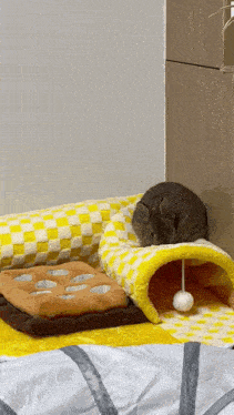 a small animal is sleeping on a bed with a yellow and white checkered blanket