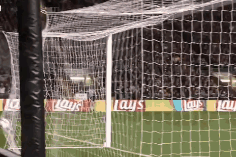 a soccer goal with lays advertisements on the side of it