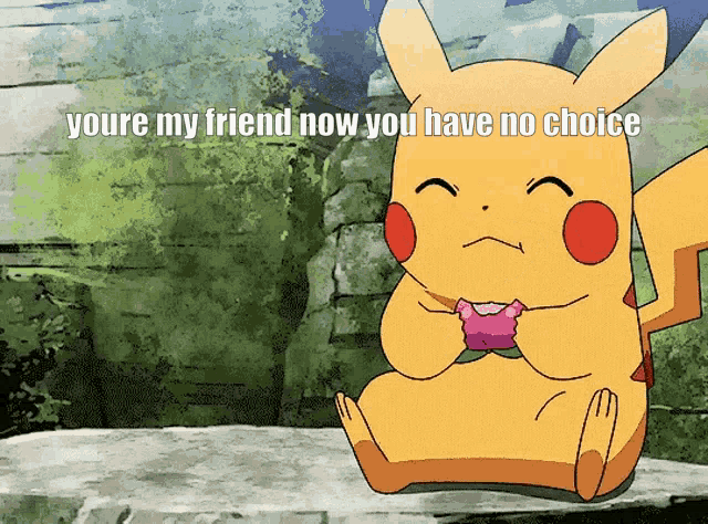 Pikachu Pokemon GIF - Pikachu Pokemon Youre My Friend Now GIFs
