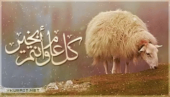 Eid Adha GIF - Eid Adha GIFs