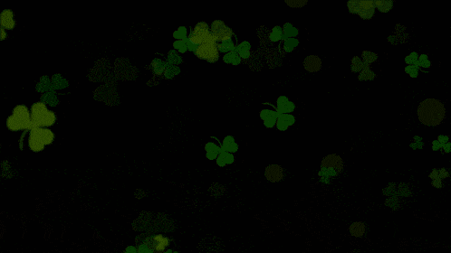 a live stream of irishgirlcrypto is being broadcasted