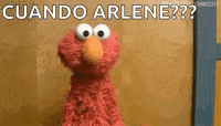 elmo from sesame street is standing in front of a wooden wall and asking cuando arlene ?