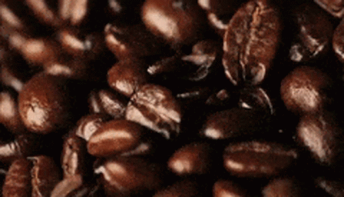 Beans Coffee GIF