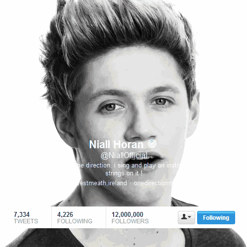 a screenshot of niall horan 's twitter page shows that he has 12,600,000 followers