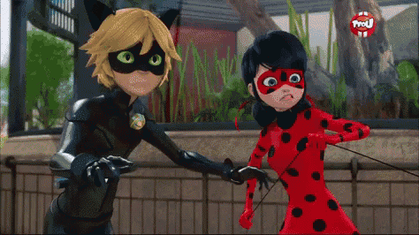 ladybug and cat noir from miraculous ladybug are standing next to each other .