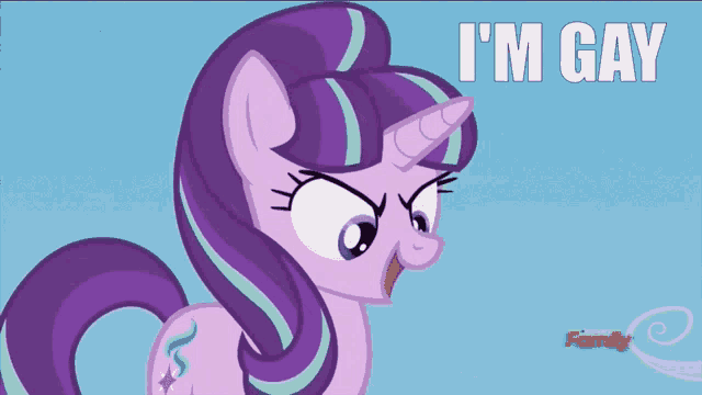 a picture of a pony with the words i 'm gay on it