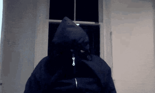 a person wearing a black hooded jacket with a zipper