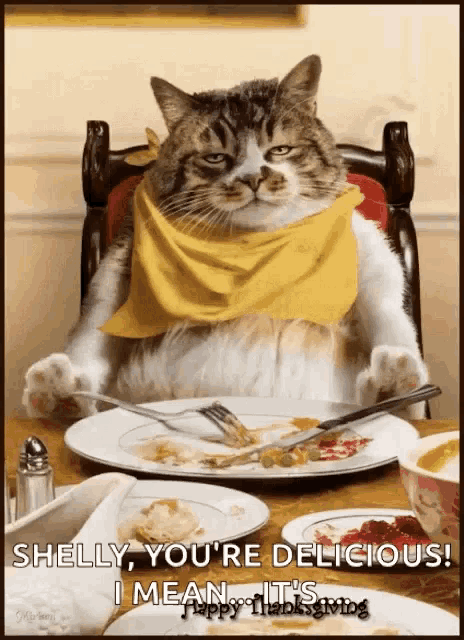 a cat wearing a yellow scarf sits at a table with a plate of food and says shelly you 're delicious