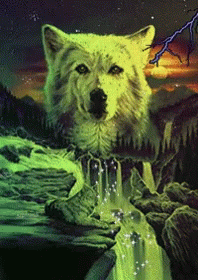 Wolf Wolf Spirit Guide GIF - Wolf Wolf Spirit Guide Thunder GIFs