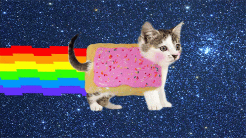 Mishi Space GIF - Mishi Space Cat GIFs