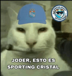 Sporting Cristal Sad GIF - Sporting Cristal Sad Futbol Peruano GIFs