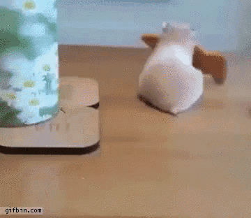 a gifbin.com screenshot of a hamster playing with a toy on a table