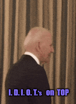 Idiots On Top GIF