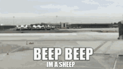 Beep Beep Beep GIF - Beep Beep Beep Im A Sheep GIFs
