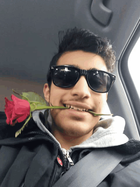a man wearing sunglasses and holding a rose in his mouth