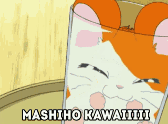 a cartoon of a cat with the words mashiho kawaiii