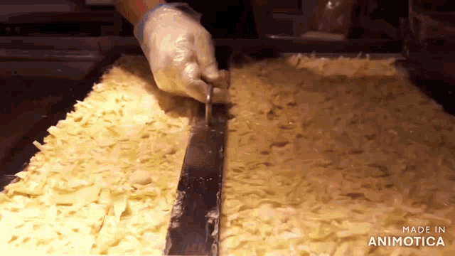 a person is cutting cheese with a knife and the words made in animotica are visible in the corner
