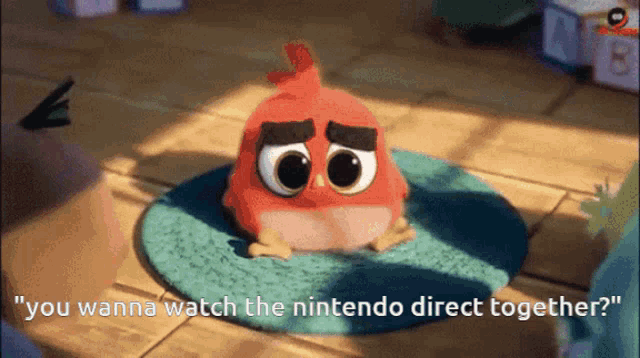 a red angry bird sits on a blue rug with the words " you wanna watch the nintendo direct together "