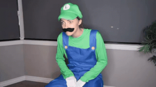 Paige And Holly Holly And Paige GIF - Paige And Holly Holly And Paige Mario And Luigi GIFs