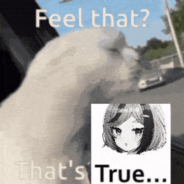 a cat is looking at a picture of a girl and says `` feel that ? that 's true . ''